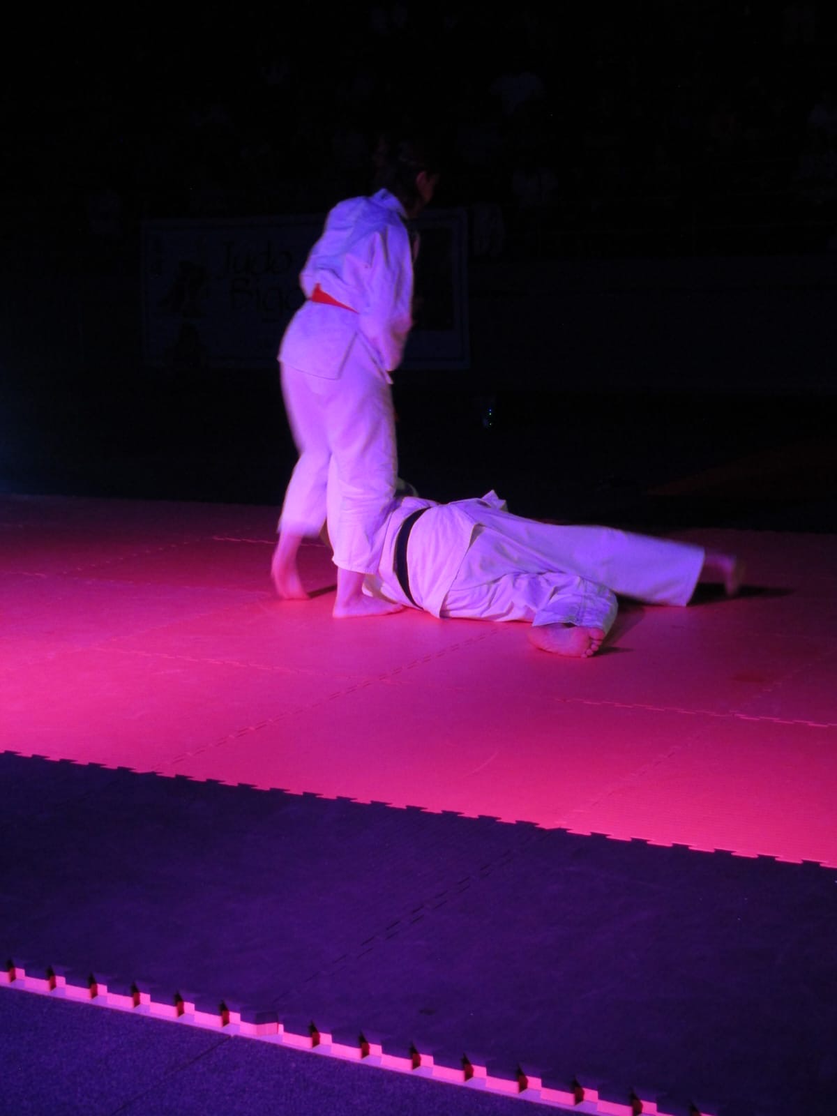 Nuits des Arts Martiaux - 11