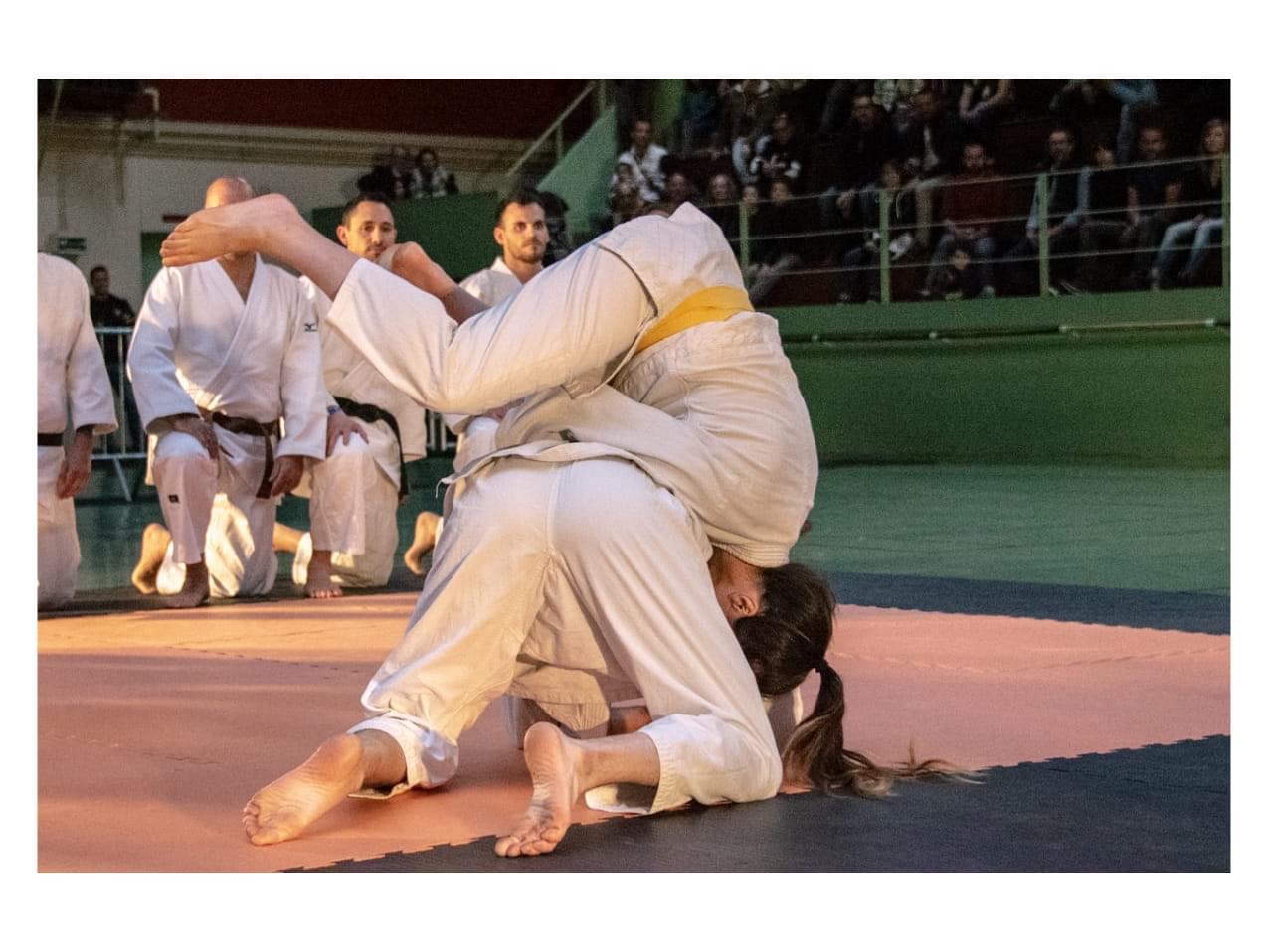 Nuits des Arts Martiaux - 2